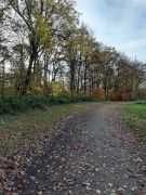 66c4b707-8e90-49c7-b6e7-422d98653aed