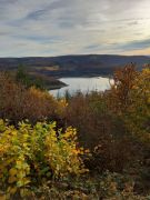 WhatsApp_Image_2025-11-06_at_17.23.37_2