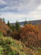 WhatsApp_Image_2025-11-06_at_17.23.37_3