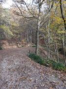 WhatsApp_Image_2025-11-06_at_17.23.38