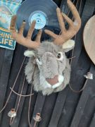 WhatsApp_Image_2025-11-06_at_17.23.39_1