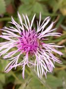 WhatsApp_Image_2025-11-06_at_17.23.39_5