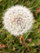 WhatsApp_Image_2025-11-06_at_17.23.40