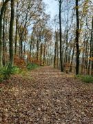 db1fbd0e-3ed2-4297-8521-3793bca2d4d0