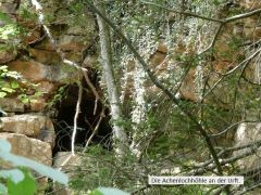 IMG_2937 IMG_2937