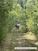 IMG_2942 IMG_2942